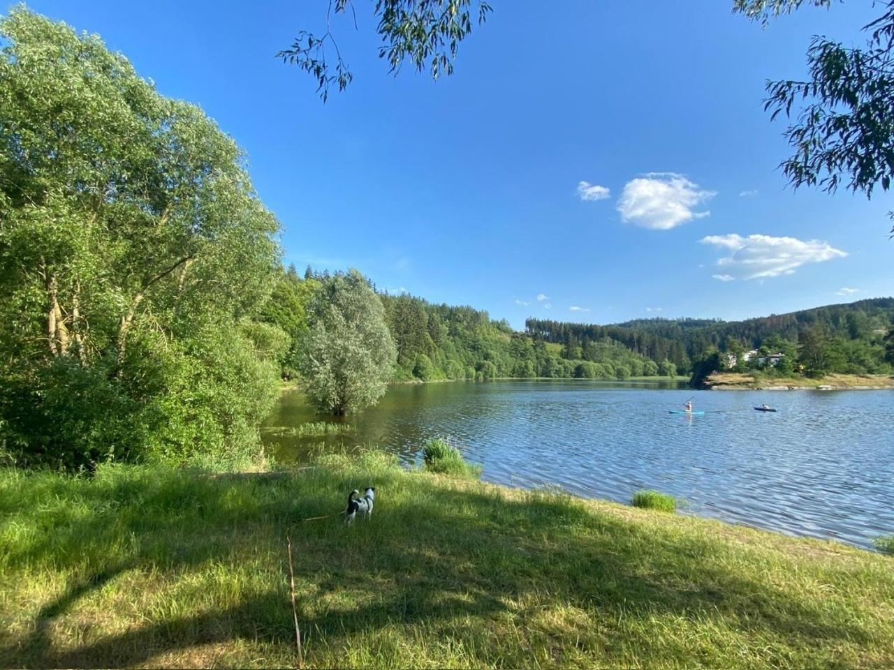 Pension Und Ferienwohnung Am Teich Schleiz Bagian luar foto