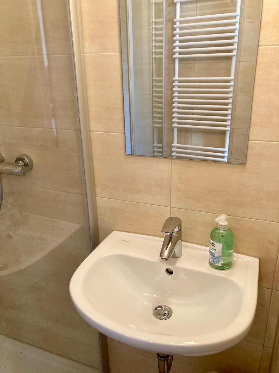 Pension Und Ferienwohnung Am Teich Schleiz Bagian luar foto